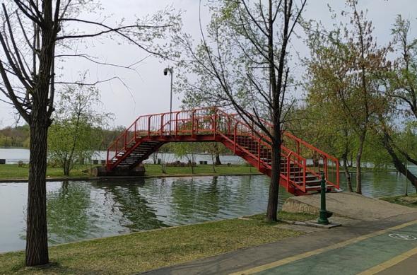 Nokia 8.1 - Mostre Foto (ziua): IMG_20190402_143719.jpg