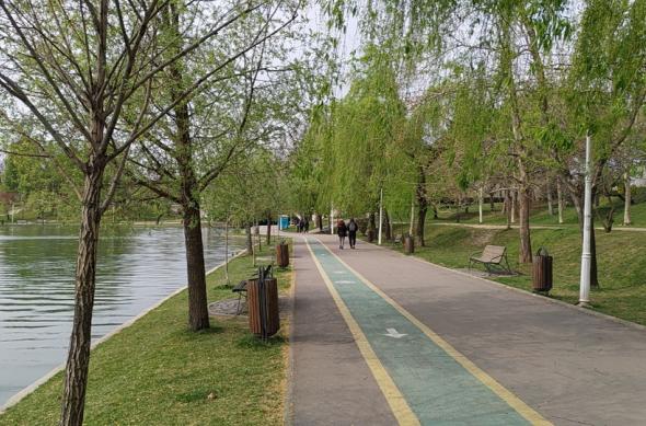 Nokia 8.1 - Mostre Foto (ziua): IMG_20190402_144144.jpg