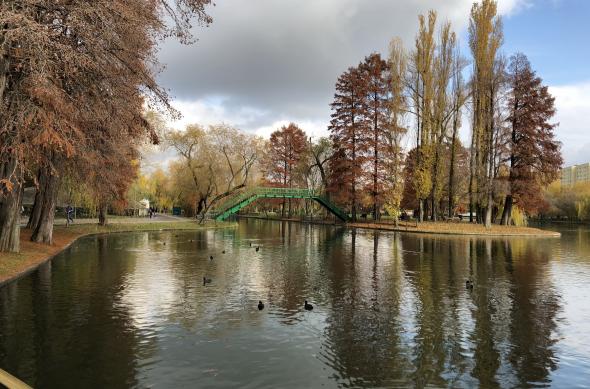 Apple iPhone 8 Plus - Mostre Foto (ziua): Photo 10-11-2017, 14 17 34.jpg