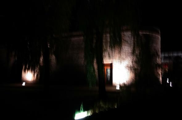 Xiaomi Mi A1 - Mostre Foto (seara): IMG_20171113_002754_HDR.jpg