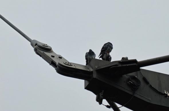 OnePlus 15 - Mostre zoom: OnePlus-15-Mostre-Zoom_029.jpg