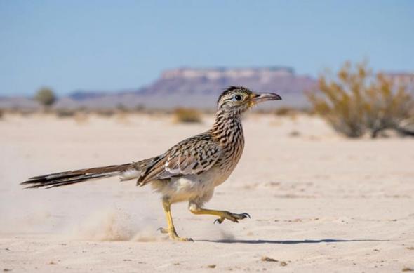 Imagini generate cu MAI-Image-1: download - 2025-10-15T141806.188.jpg