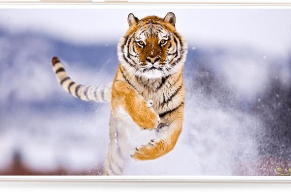 Micromax YU Yunicon - Fotografii oficiale: YU Yunicon (5).jpg