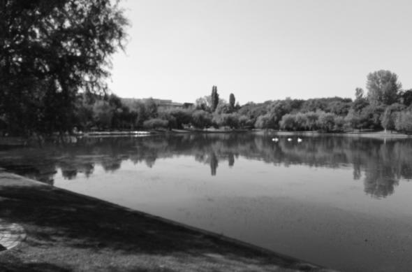 Bluboo S1 - Mostre Foto (ziua): IMG_20170831_134745.jpg