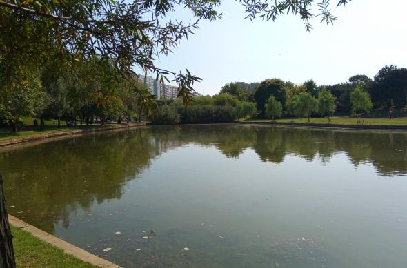 Bluboo S1 - Mostre Foto (ziua): IMG_20170831_133920.jpg