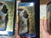 Samsung Galaxy Note 7 are livrările suspendate după câteva cazuri de explozii ale bateriilor acestui model