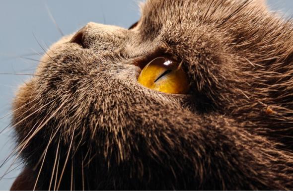 realme GT5 Pro - Mostre foto (Teaser): 4421815bgy1hkhrcypxjlj235s2pke84.jpg