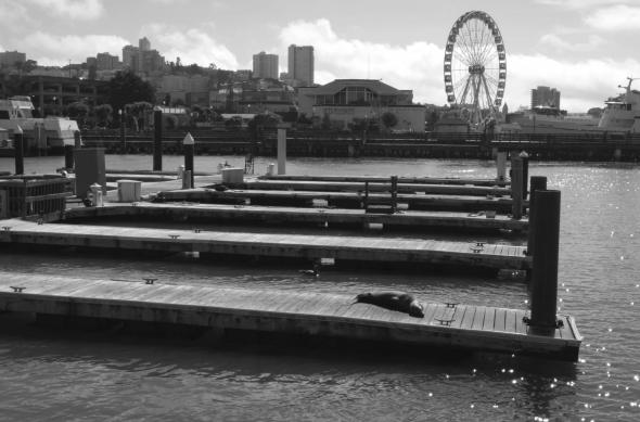 realme GT8 - Mostre foto: imgi_198_1760434658452eb45fc42c5b94089a49a955c4f5a693d.jpeg