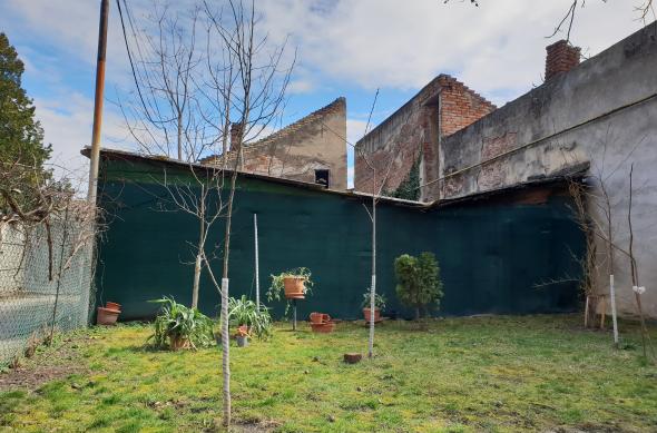 Samsung Galaxy S9+ - Mostre Foto (ziua): 20180311_130402.jpg