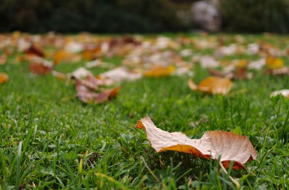 OPPO Find X9 Pro - Mostre zi: OPPO-Find-X9-Pro-Mostre-Zi_034.jpg