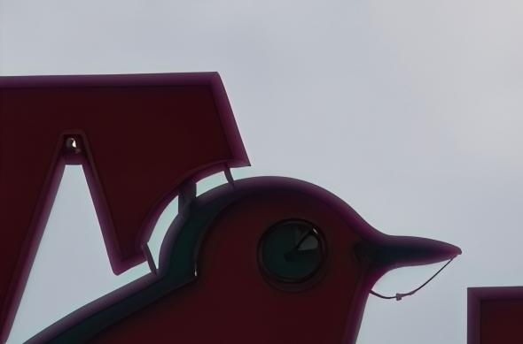 OPPO Find X9 Pro - Mostre zoom: OPPO-Find-X9-Pro-Mostre-Zoom_080.jpg