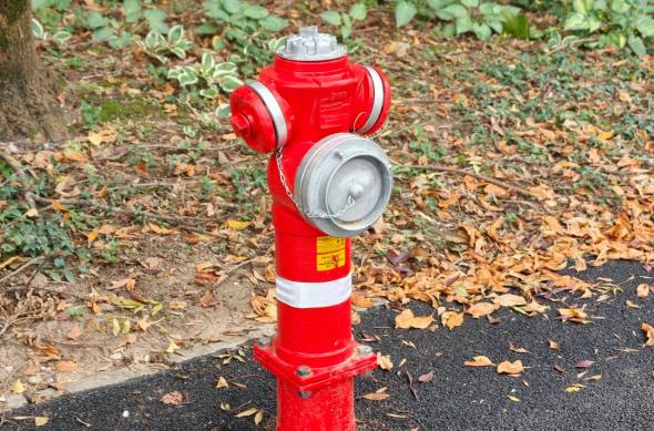 OPPO Find X9 Pro - Mostre bokeh: OPPO-Find-X9-Pro-Mostre-bokeh_027.jpg