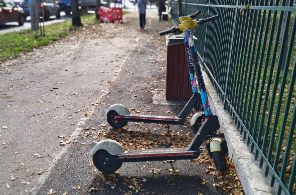 Motorola edge 70 - Mostre Foto (bokeh): Motorola-edge-70-Mostre-bokeh_011.jpg