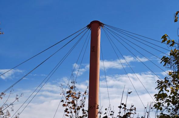 Motorola edge 70 - Mostre Foto (zoom): Motorola-edge-70-Mostre-zoom_011.jpg