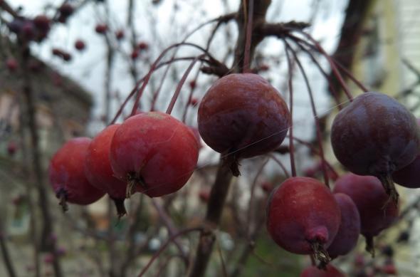 Huawei Nova - Mostre Foto (ziua): IMG_20161030_145643.jpg