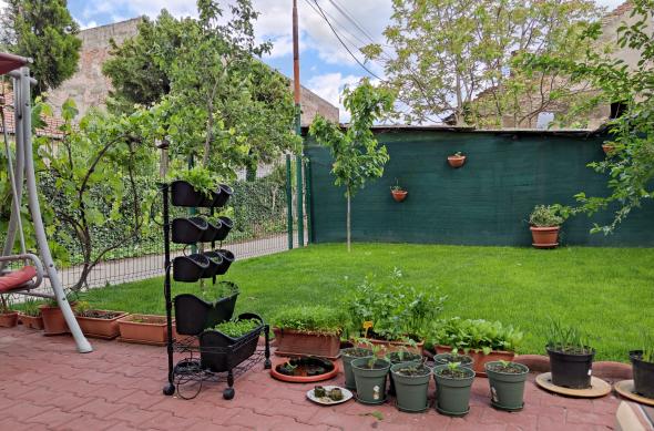 Xiaomi Mi 10 Pro - Mostre Foto (ziua): IMG_20200506_154441.jpg