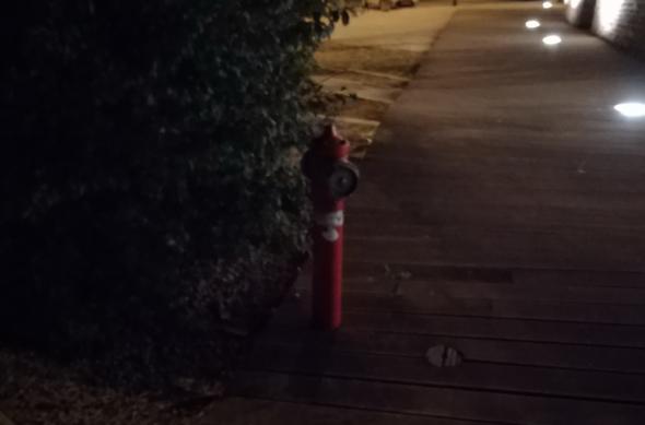 ASUS ZenFone Max Pro (M1) - Mostre Foto (seara): IMG_20181010_015147.jpg