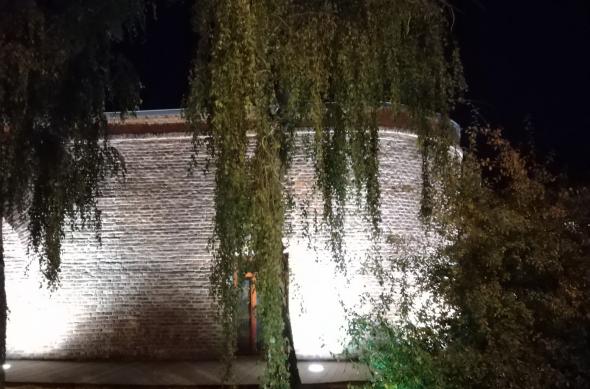 ASUS ZenFone Max Pro (M1) - Mostre Foto (seara): IMG_20181010_015125.jpg