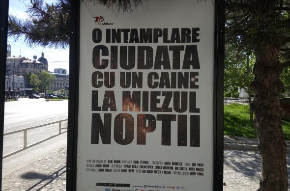 LeTV 1S - Mostre Foto (ziua): IMG_20160416_211218.jpg