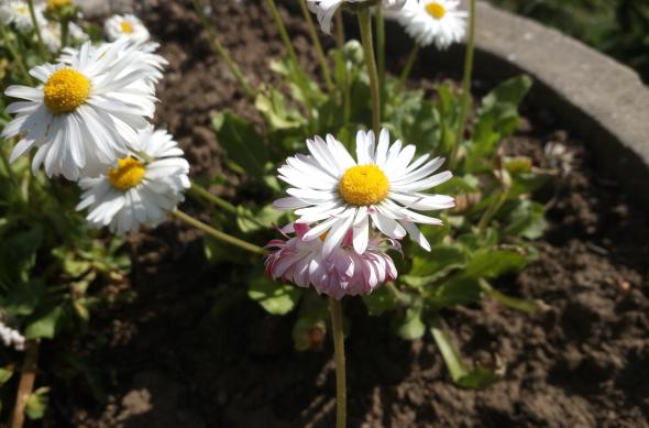 LeTV 1S - Mostre Foto (ziua): IMG_20160416_215105.jpg