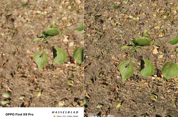 Samsung Galaxy S25 Ultra, OPPO Find X9 Pro - Zoom 3X: photo-2.jpg