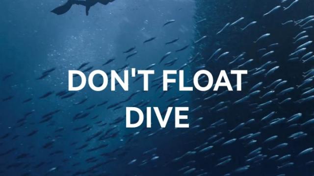 <b>Cu noile ceasuri HUAWEI nu doar vei pluti, te vei scufunda - așa sună cel mai nou teaser pentru Watch GT 6, Watch Ultimate 2</b>Mai sunt doar câteva zile până la evenimentul HUAWEI din Paris, acolo unde vor fi prezentate noile ceasuri Watch GT 6 și Watch GT 6 Pro și cu puțin noroc îl vedem la fața locului și pe HUAWEI Watch Ultimate 2. În așteptarea anunțului