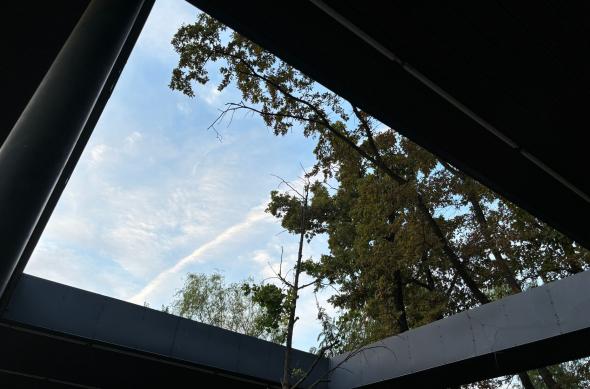 Apple iPhone 15 - Mostre Foto (ziua): iPhone-15-Mostre-wide_001.jpg