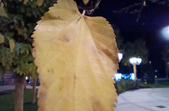 Motorola One Macro - Mostre Foto (seara): IMG_20191112_004835397.jpg