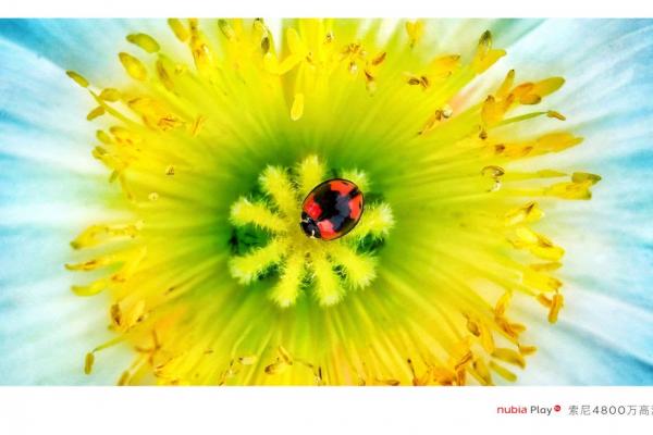 Nubia Play 5G - Mostre foto