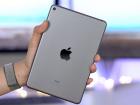 Top 5 motive să îţi iei un iPad Mini 5 acum: de la ergonomie la autonomie, suport Apple Pencil