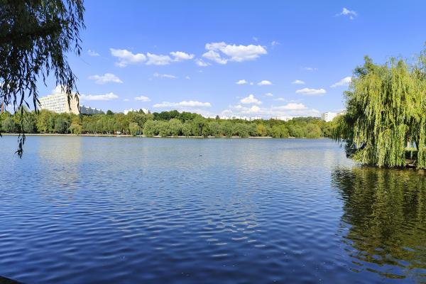 OnePlus 10T - Mostre Foto (ziua)