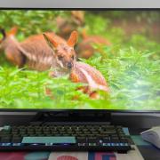 Philips 27B1U7903 Review - monitor office la superlativ, cu tehnologie Quantum Dot, Mini LED și pe deasupra 4K + Thunderbolt4