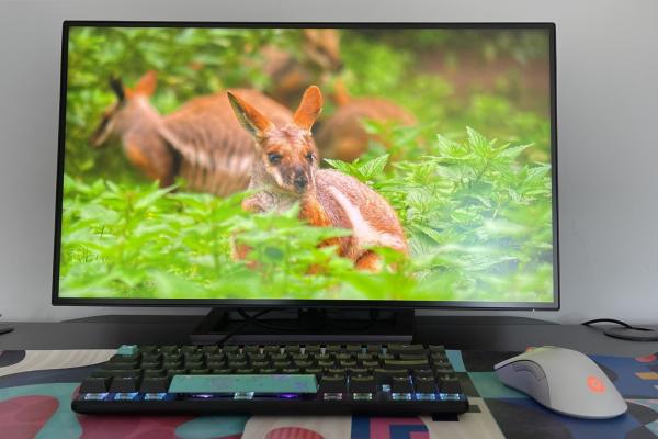 Philips 27B1U7903 Review - monitor office la superlativ, cu tehnologie Quantum Dot, Mini LED și pe deasupra 4K + Thunderbolt4