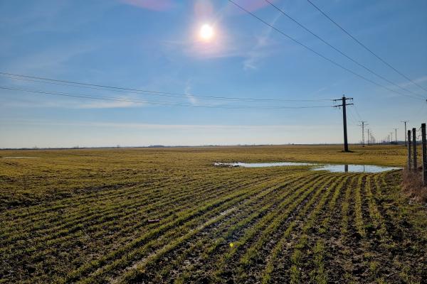 Samsung Galaxy S21 Ultra 5G - Mostre Foto (ziua)