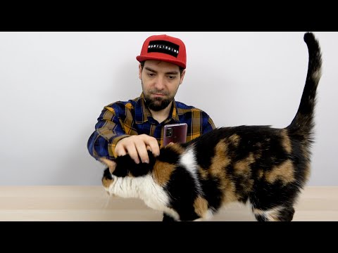Motorola Moto G30 Video Review în Limba Română (Noul val Moto - ecran de 90 Hz, baterie mare)