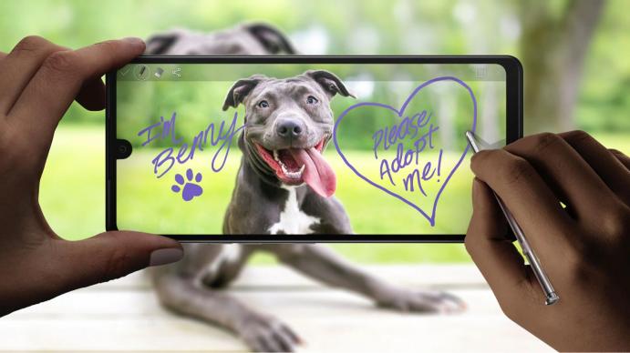 LG Stylo 6 - Fotografii oficiale: LG-Stylo-6_017.jpg