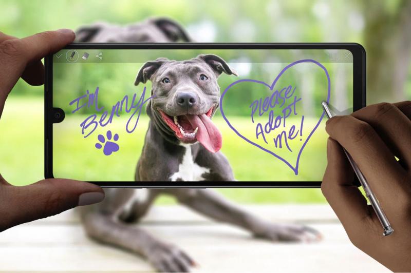 LG Stylo 6 - Fotografii oficiale: LG-Stylo-6_017.jpg