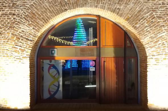 Samsung Galaxy A9 (2018) - Mostre Foto (seara): 20181203_013204.jpg