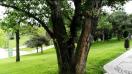 Huawei G8, mostră video Full HD, 30 FPS (dynamic range) - Mobilissimo.ro