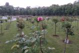 IMG_20160510_162448.jpg