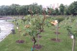 IMG_20160510_162502.jpg