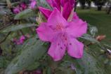 IMG_20160510_162640.jpg