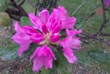 IMG_20160510_162636.jpg