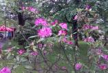 IMG_20160510_162632.jpg