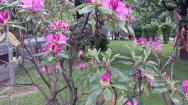 IMG_20160510_162700.jpg