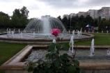 IMG_20160510_163238.jpg