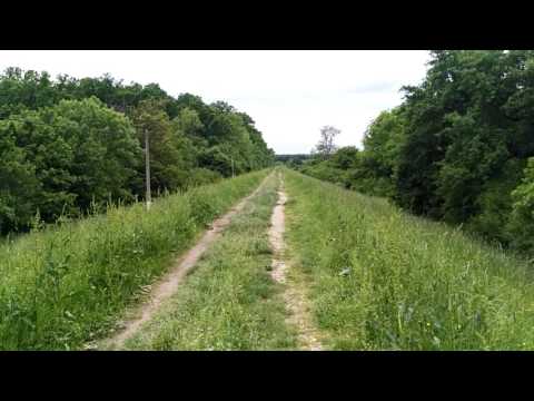 Huawei G8, mostră video HD, 30 FPS (test stabilizare video) - Mobilissimo.ro