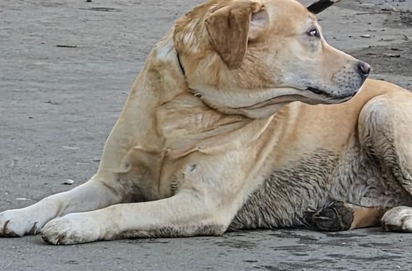 Samsung Galaxy S26 - Mostre zoom: 20260304_085153.jpg