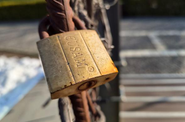 Samsung Galaxy S26 - Mostre closeup: Closeup_ (7).jpg