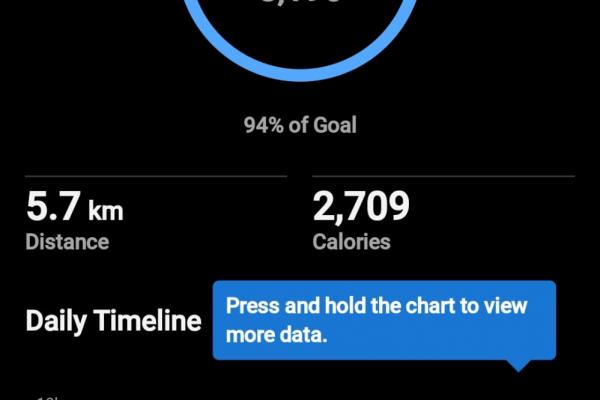 Garmin Forerunner 170 - Aplicația Connect